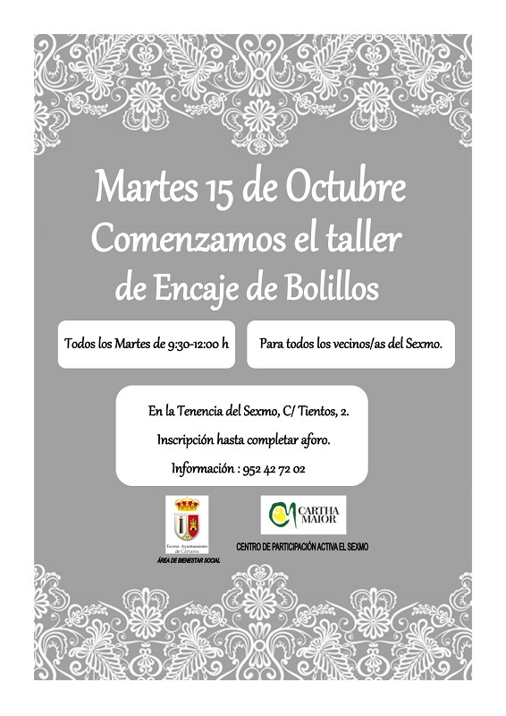 Taller Encaje de Bolillos Cártama 